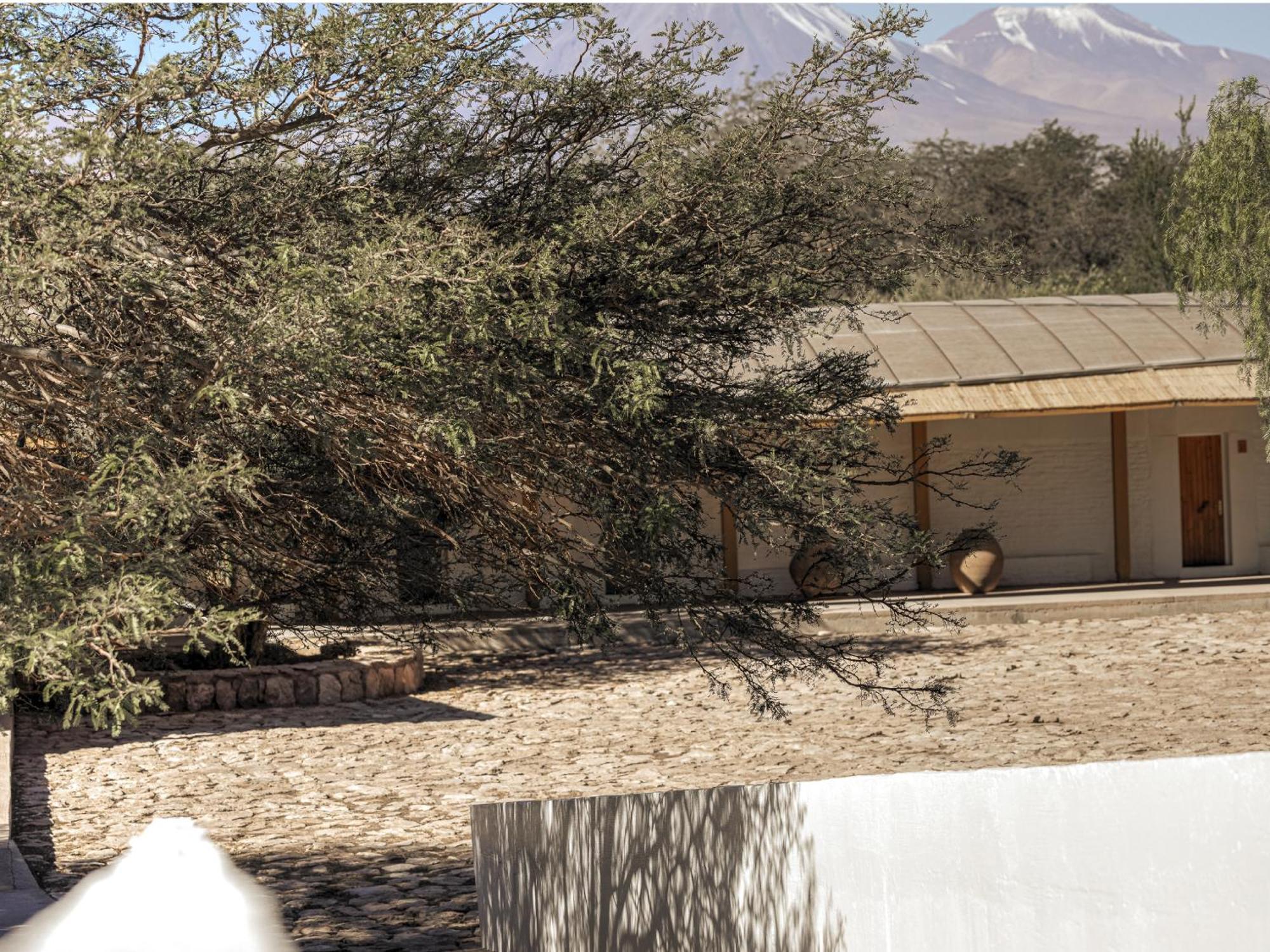 Explora En Atacama *